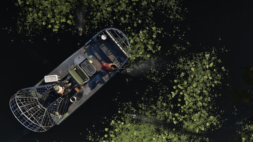 An airboat from above, official screenshot.